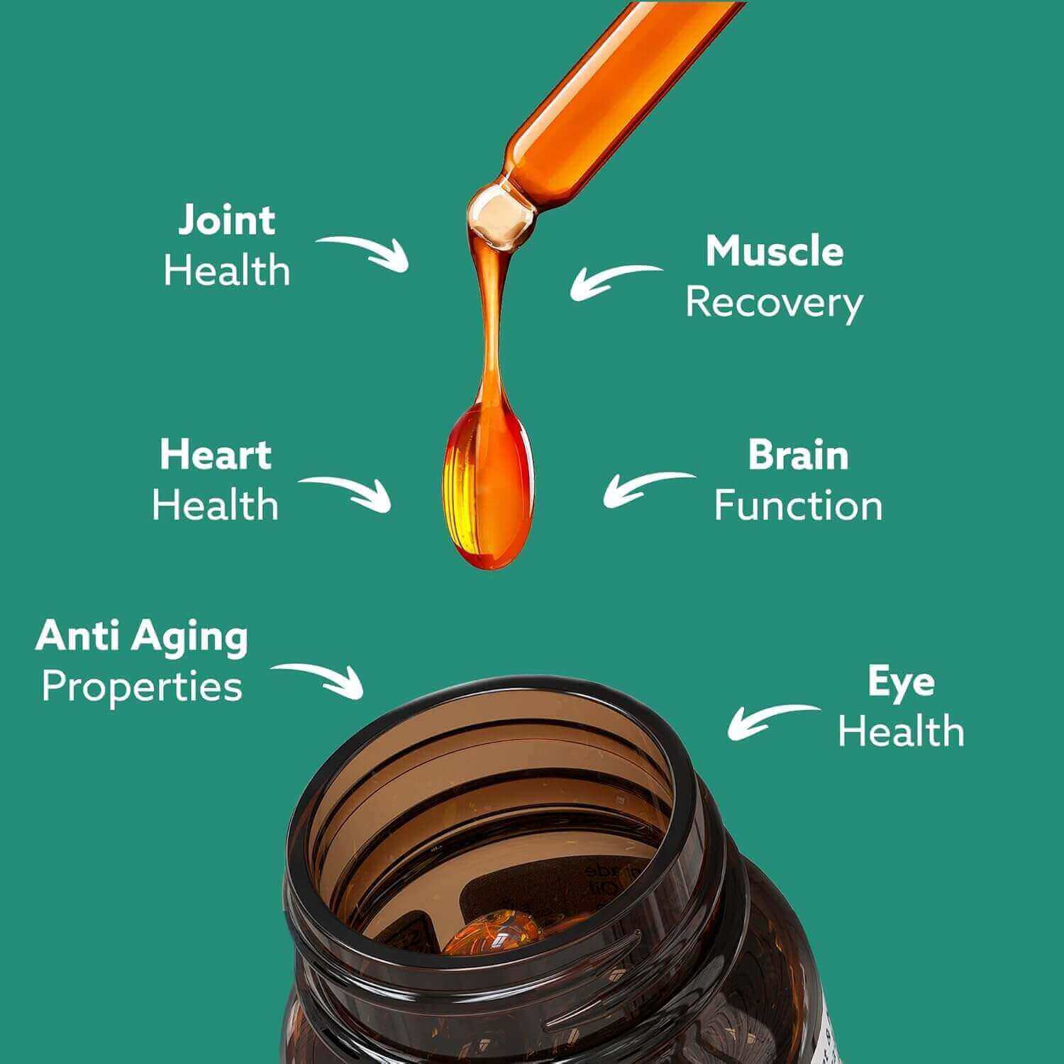 GLX3 - Extra Strength Green Lipped Mussel Oil