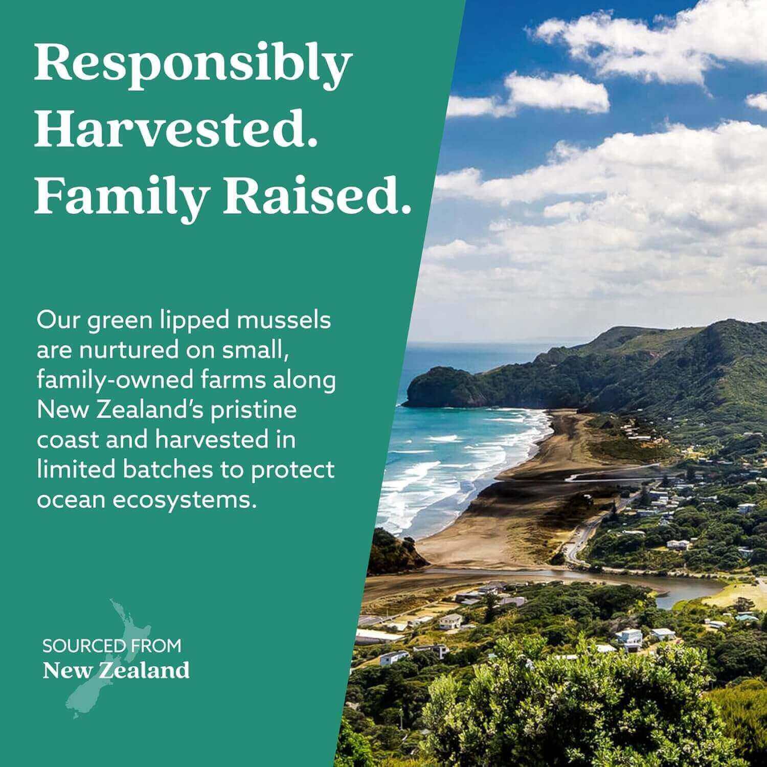 GLX3 - Extra Strength Green Lipped Mussel Oil