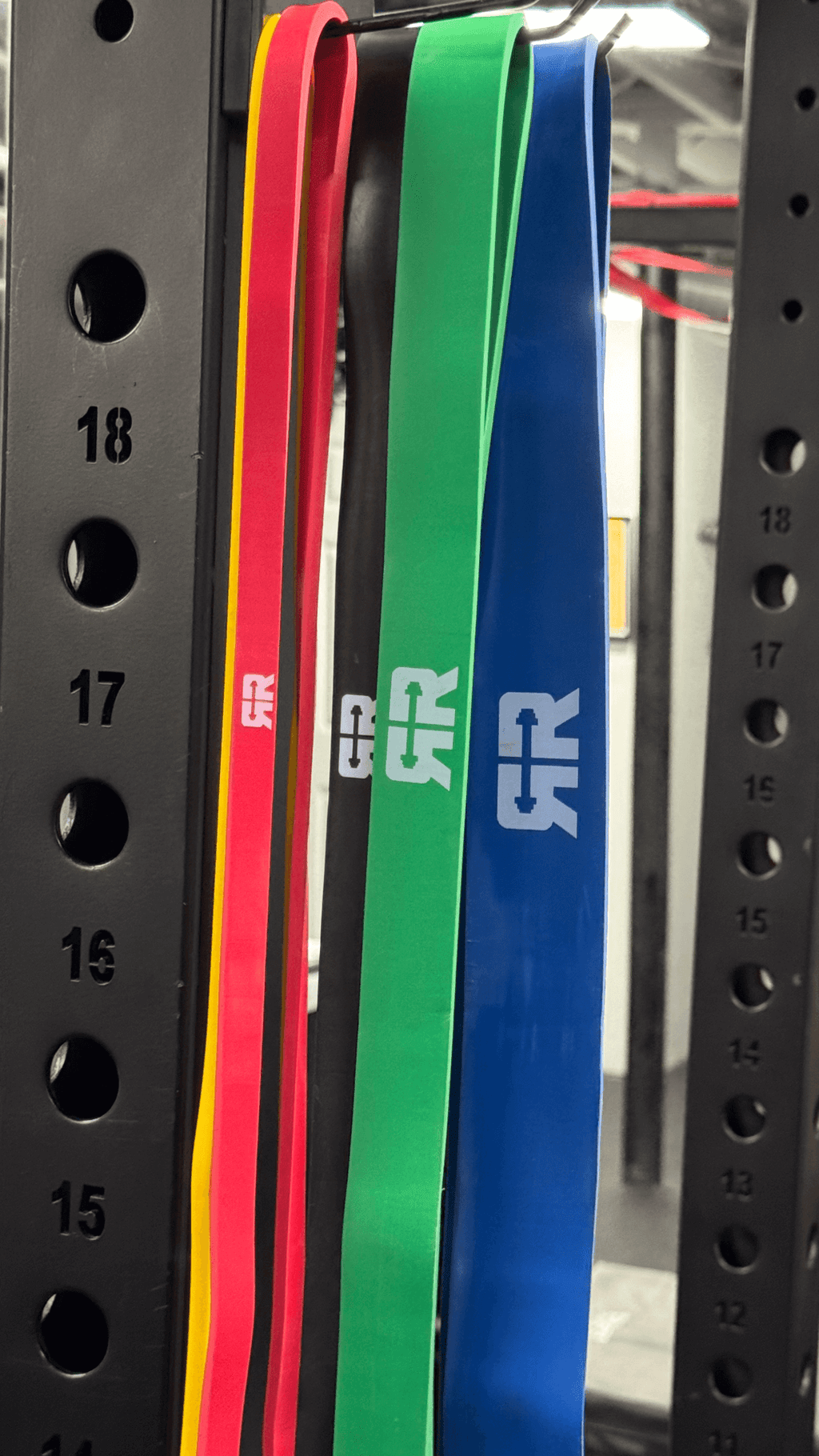 5-Band Resistance Set