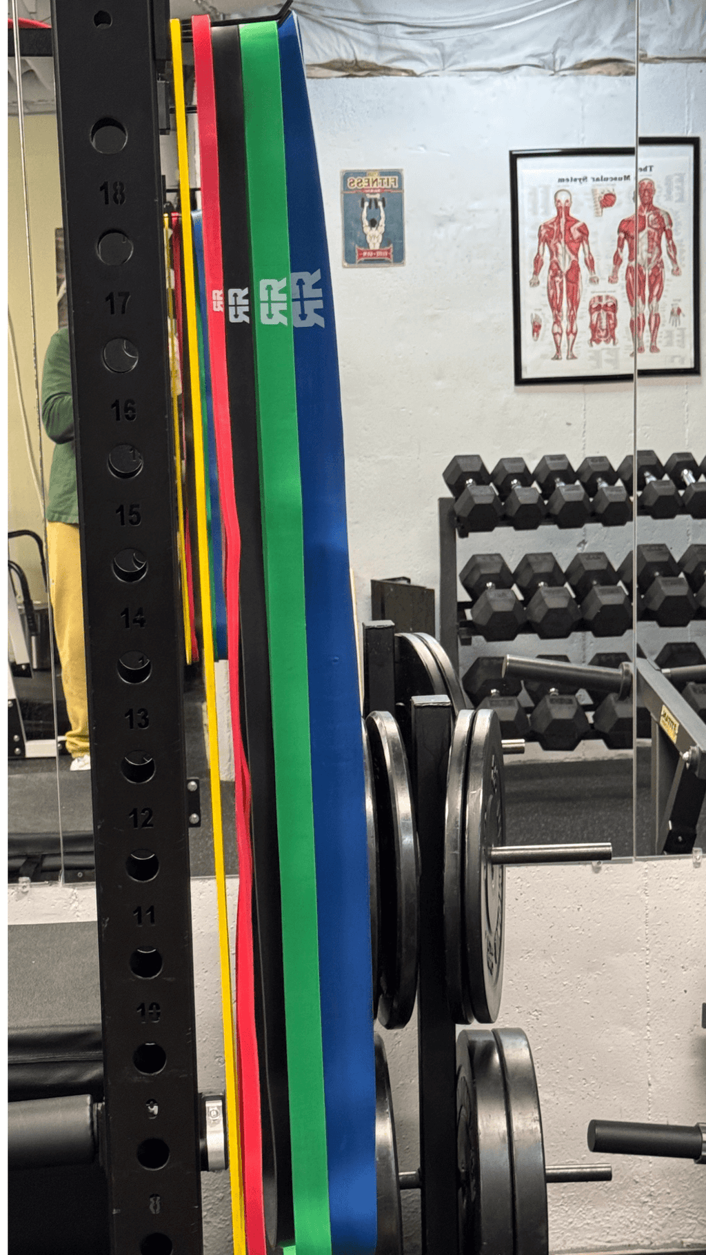 5-Band Resistance Set