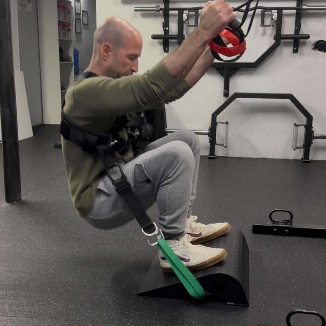 Pendulum Pack: Squat Harness V4 & Ripped Ramp 2.0 + free Ripped Straps